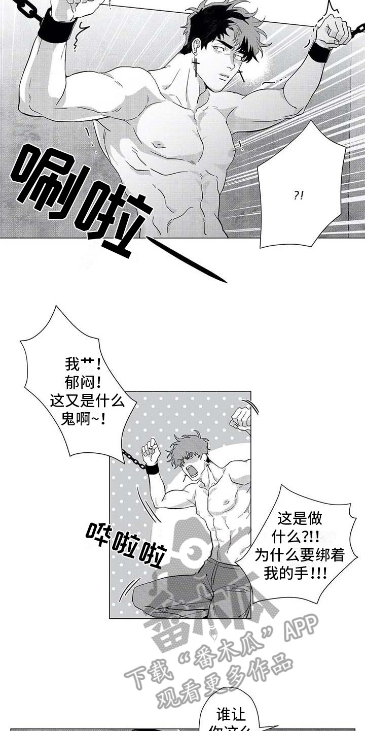 《导演你在哪》漫画最新章节第19章：绑架免费下拉式在线观看章节第【4】张图片