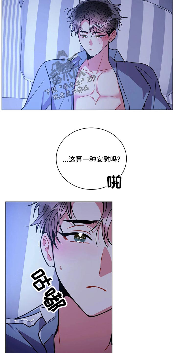 《癫狂境意》漫画最新章节第95章：【番外】求原谅免费下拉式在线观看章节第【7】张图片