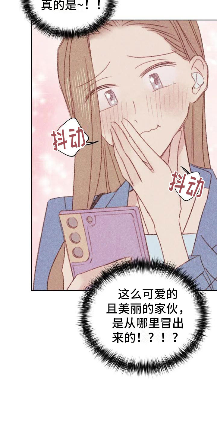 《电话那一边》漫画最新章节第2章：可爱的家伙免费下拉式在线观看章节第【26】张图片