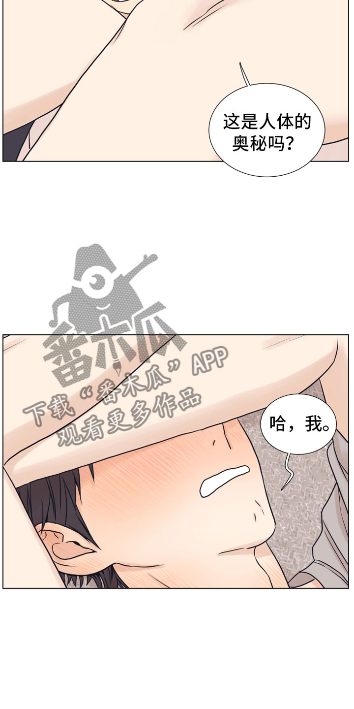 《上司不太正常》漫画最新章节第12章：奥秘免费下拉式在线观看章节第【3】张图片