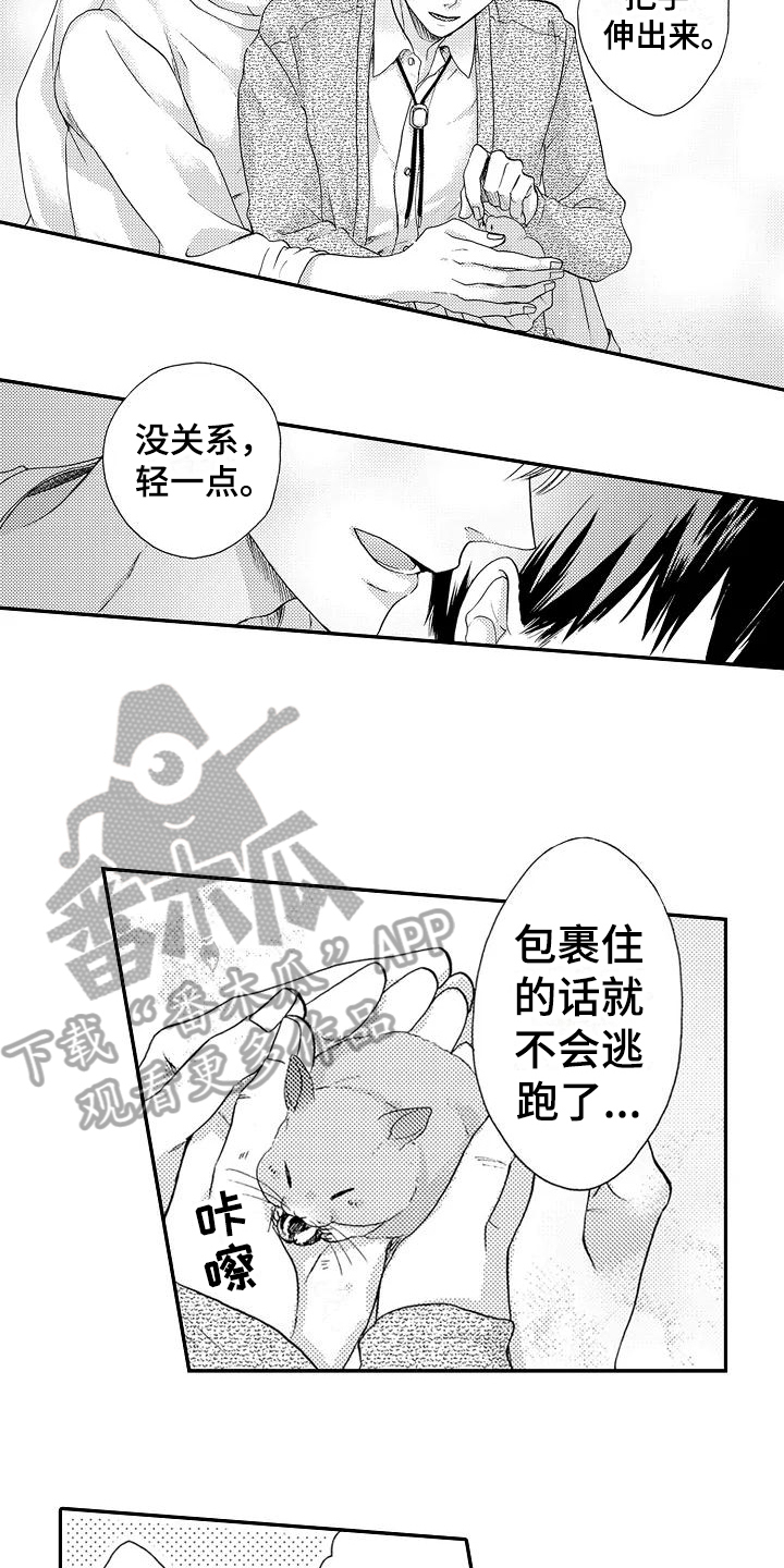 《爱在图书馆》漫画最新章节第10章：不想后悔免费下拉式在线观看章节第【4】张图片