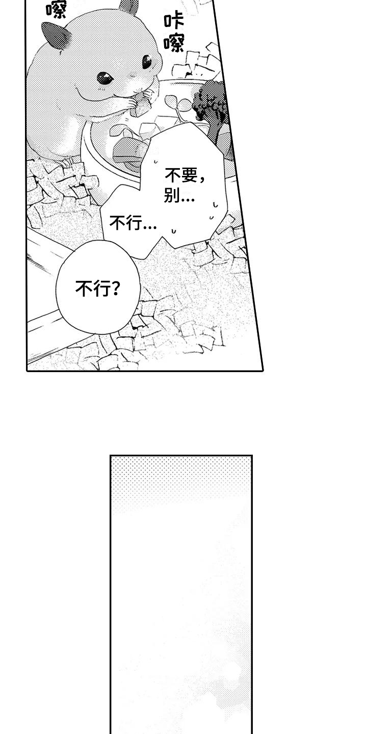 《爱在图书馆》漫画最新章节第24章：期待【完结】免费下拉式在线观看章节第【13】张图片