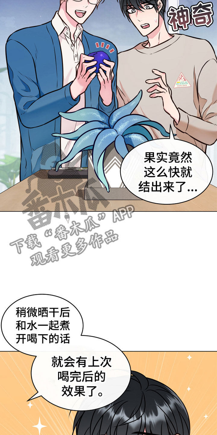 《植物与人》漫画最新章节第5章：果实免费下拉式在线观看章节第【19】张图片