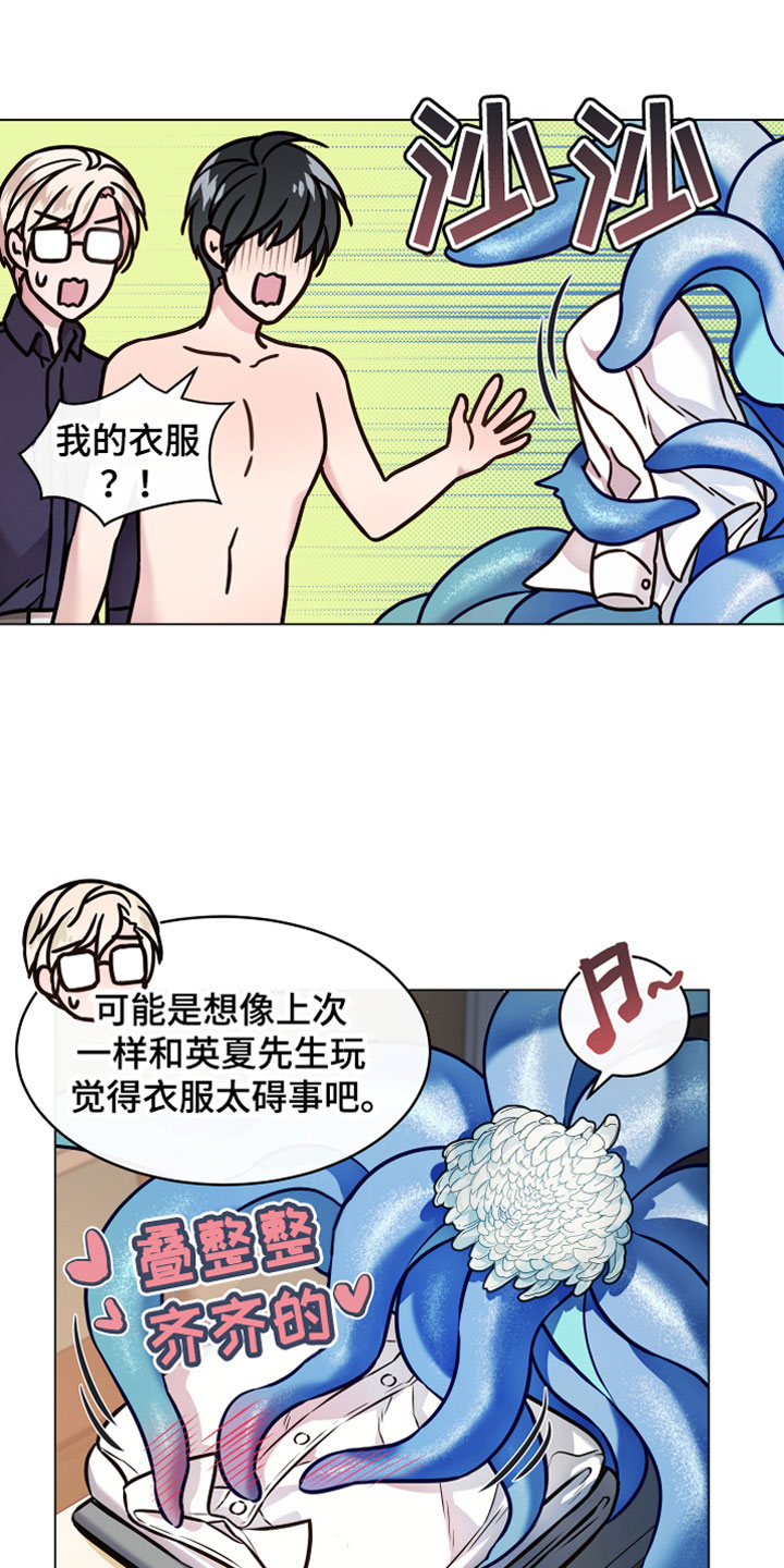 《植物与人》漫画最新章节第7章：温柔免费下拉式在线观看章节第【13】张图片