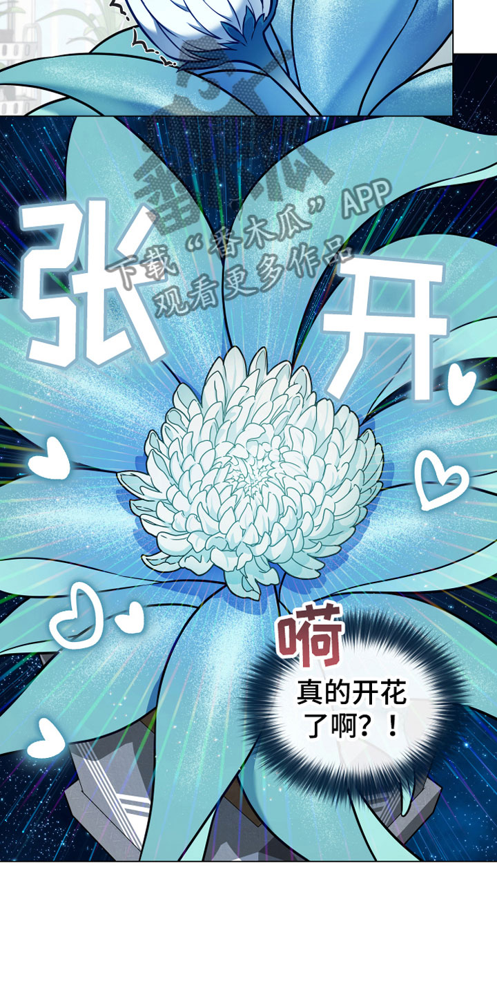 《植物与人》漫画最新章节第9章：开花免费下拉式在线观看章节第【8】张图片