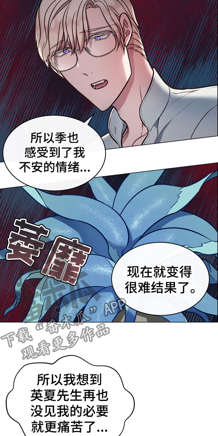 《植物与人》漫画最新章节第13章：心意免费下拉式在线观看章节第【13】张图片