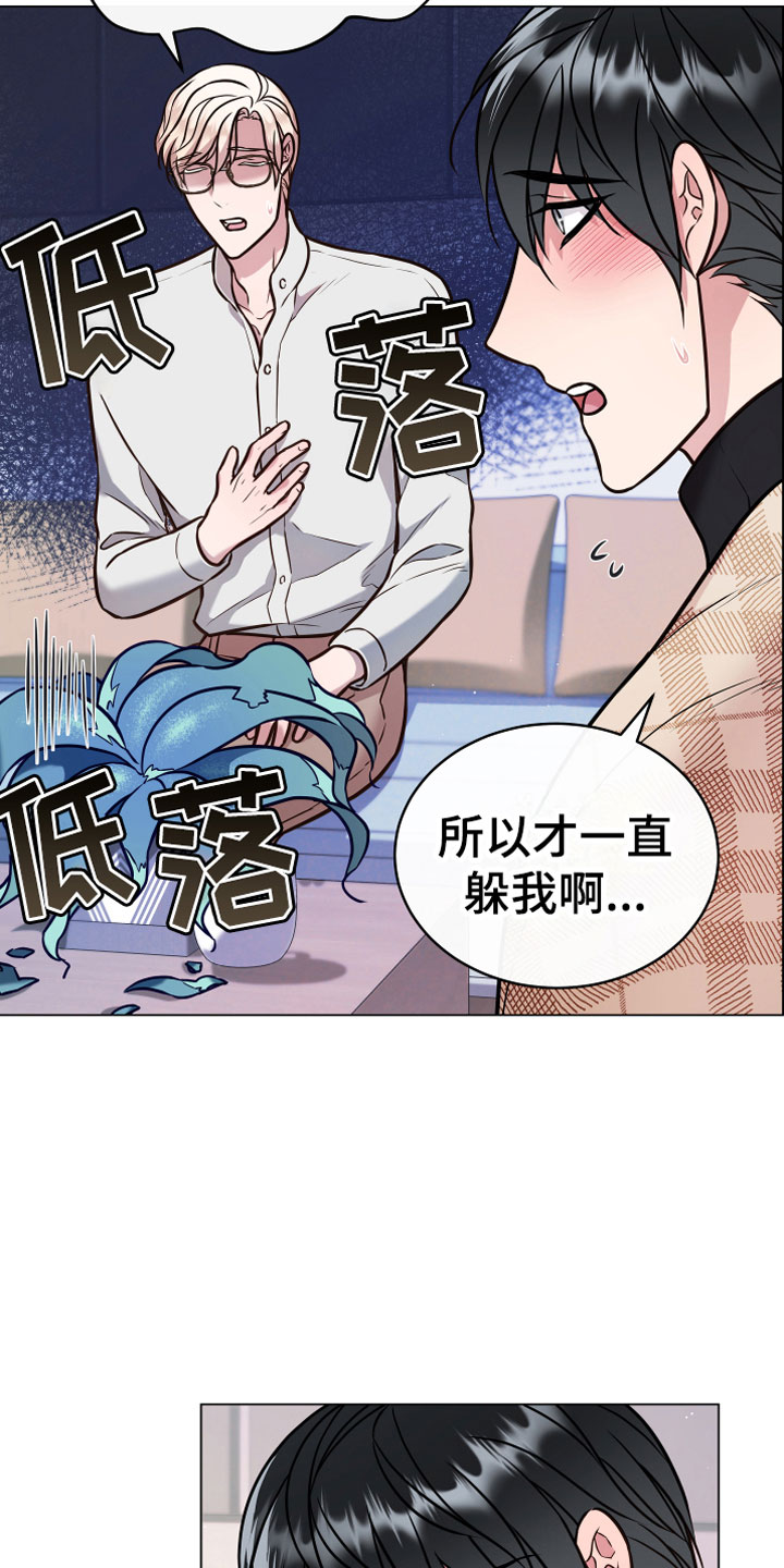 《植物与人》漫画最新章节第13章：心意免费下拉式在线观看章节第【12】张图片