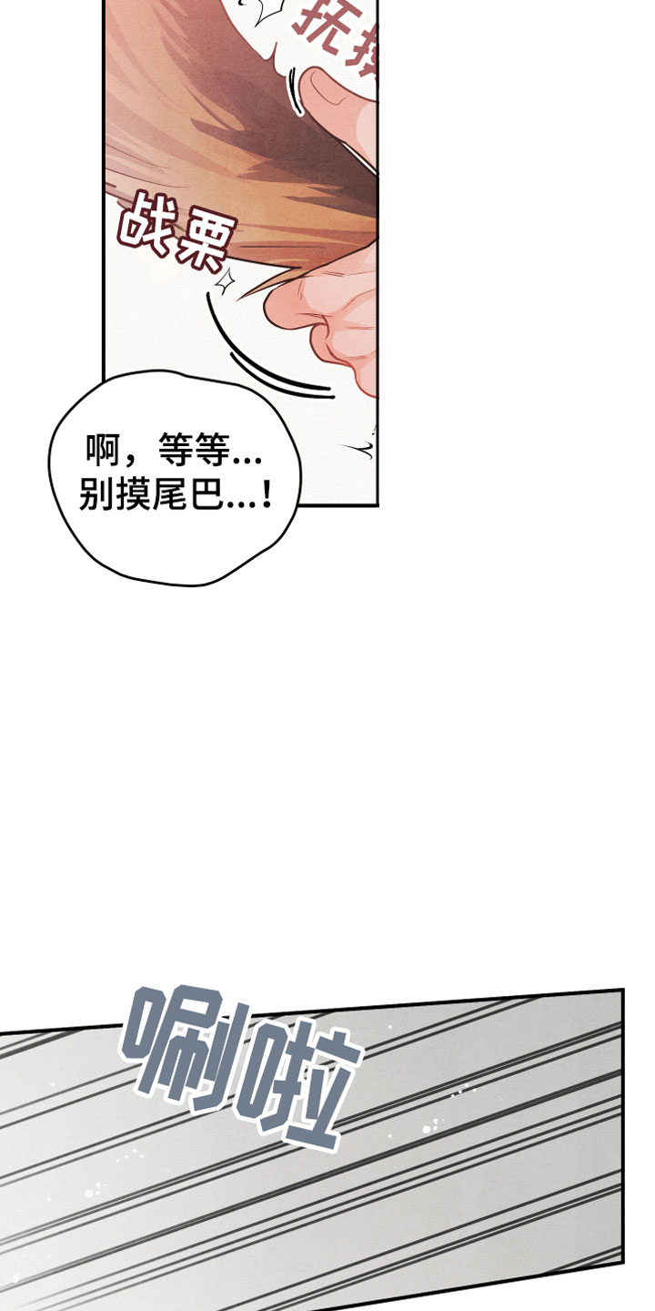 《危险接近》漫画最新章节第1章：小型犬免费下拉式在线观看章节第【4】张图片