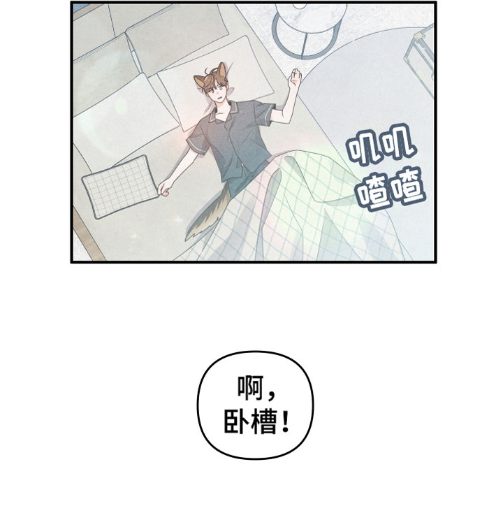 《危险接近》漫画最新章节第1章：小型犬免费下拉式在线观看章节第【1】张图片