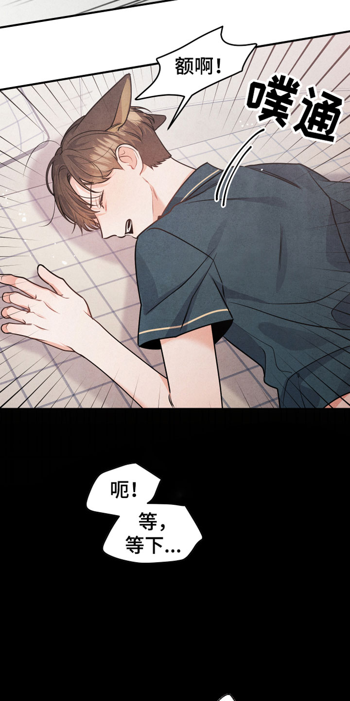 《危险接近》漫画最新章节第1章：小型犬免费下拉式在线观看章节第【3】张图片