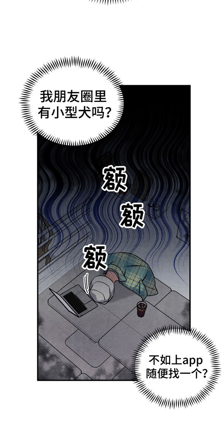 《危险接近》漫画最新章节第4章：合适的对象免费下拉式在线观看章节第【19】张图片