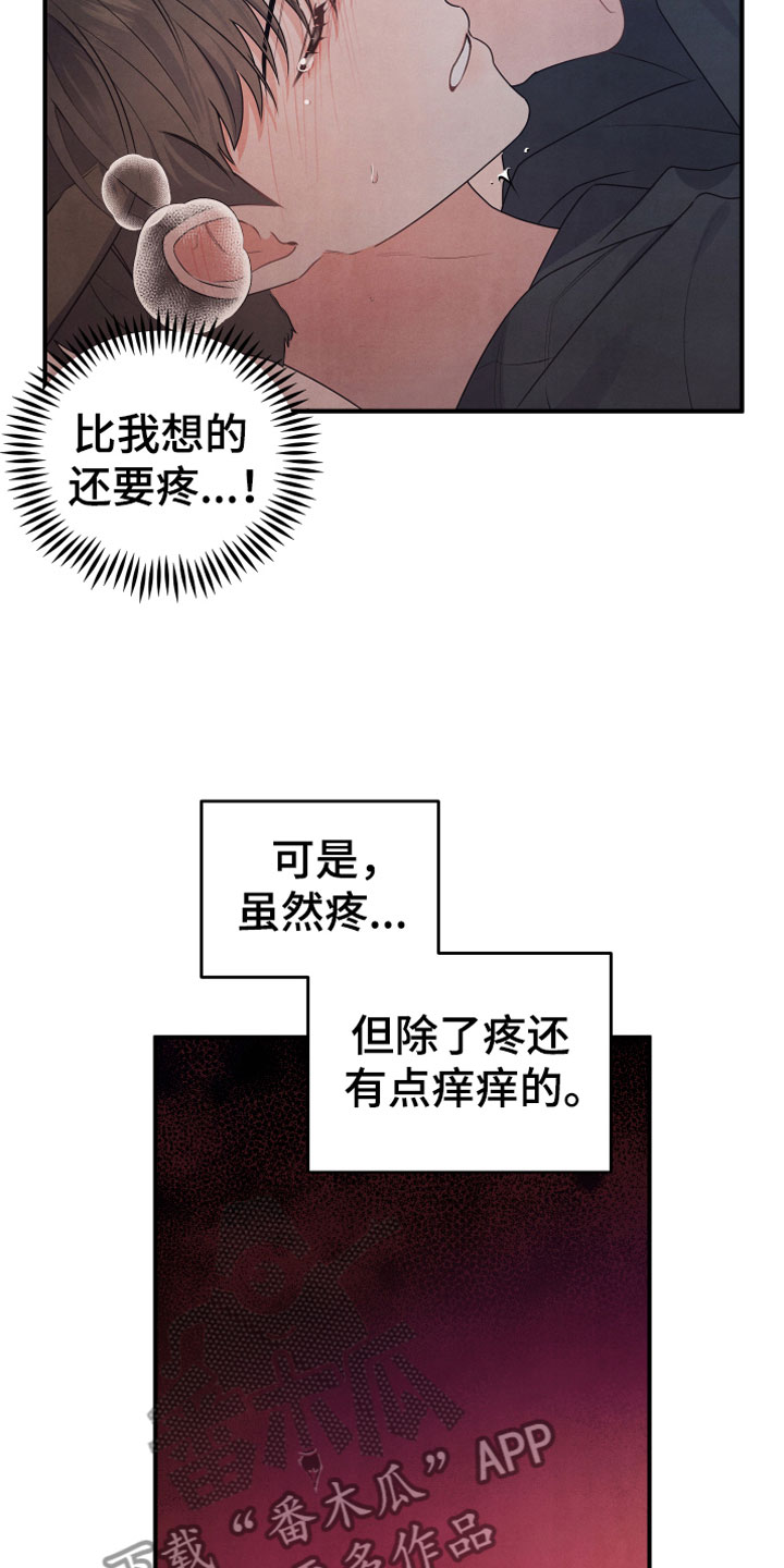 《危险接近》漫画最新章节第11章：不一样免费下拉式在线观看章节第【15】张图片