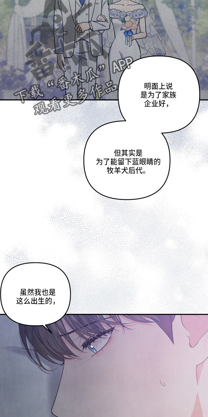 《危险接近》漫画最新章节第30章：讨厌结婚免费下拉式在线观看章节第【6】张图片