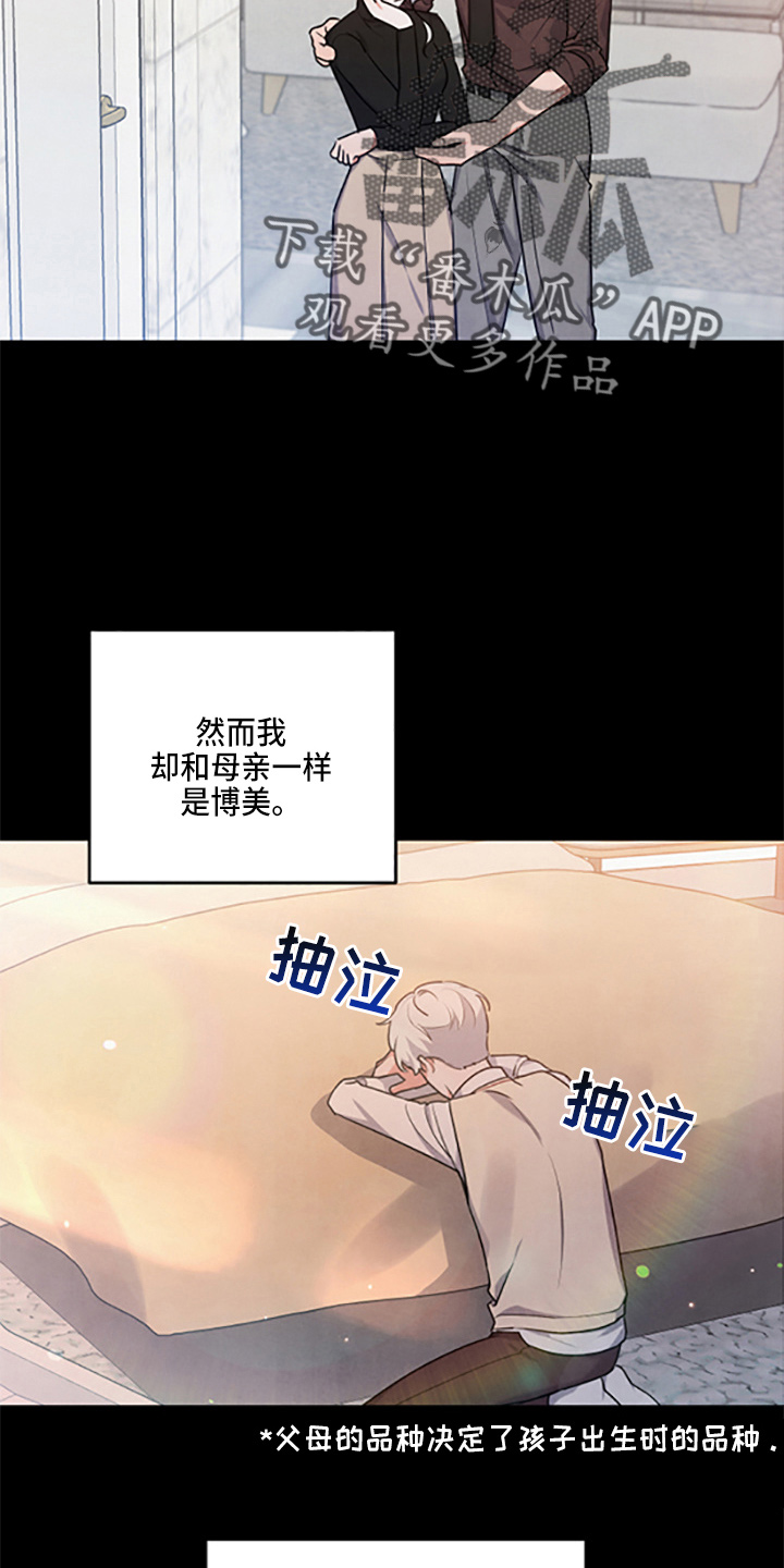 《危险接近》漫画最新章节第39章：理想型免费下拉式在线观看章节第【15】张图片