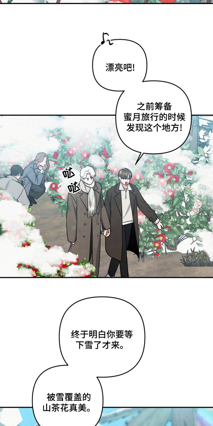 《危险接近》漫画最新章节第64章：山茶花免费下拉式在线观看章节第【12】张图片