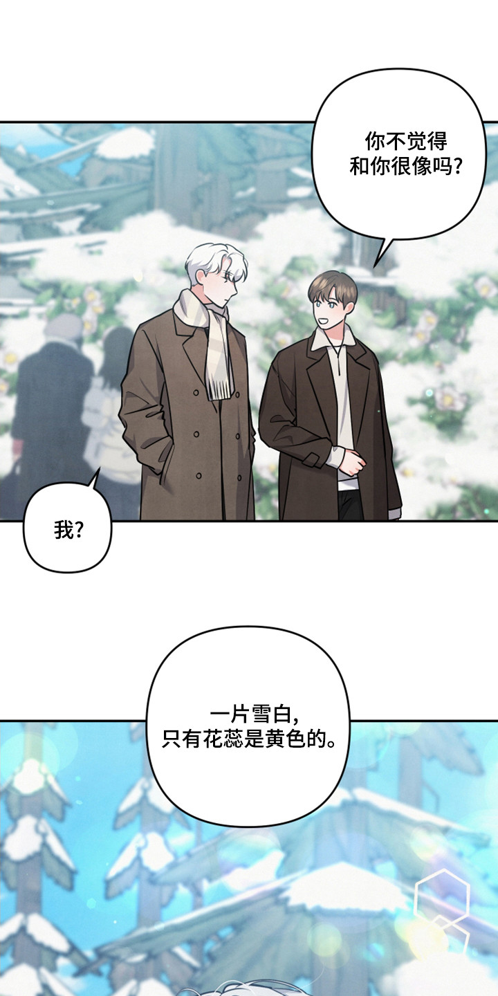 《危险接近》漫画最新章节第64章：山茶花免费下拉式在线观看章节第【9】张图片