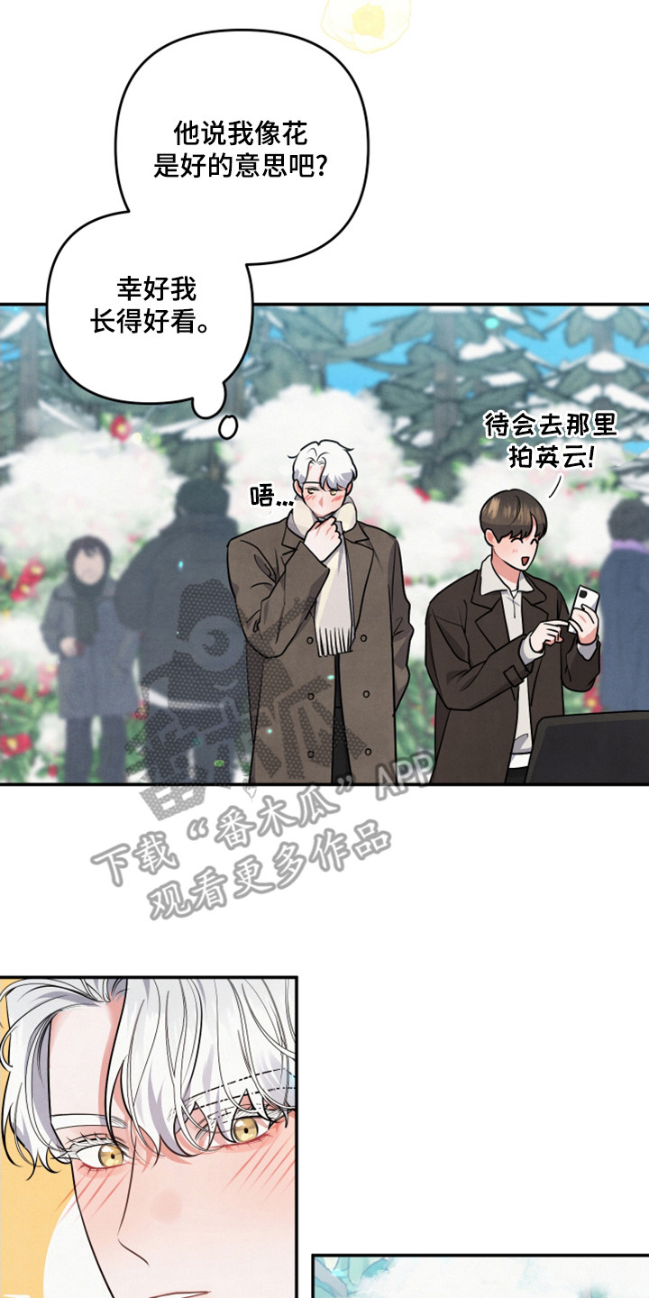 《危险接近》漫画最新章节第64章：山茶花免费下拉式在线观看章节第【7】张图片