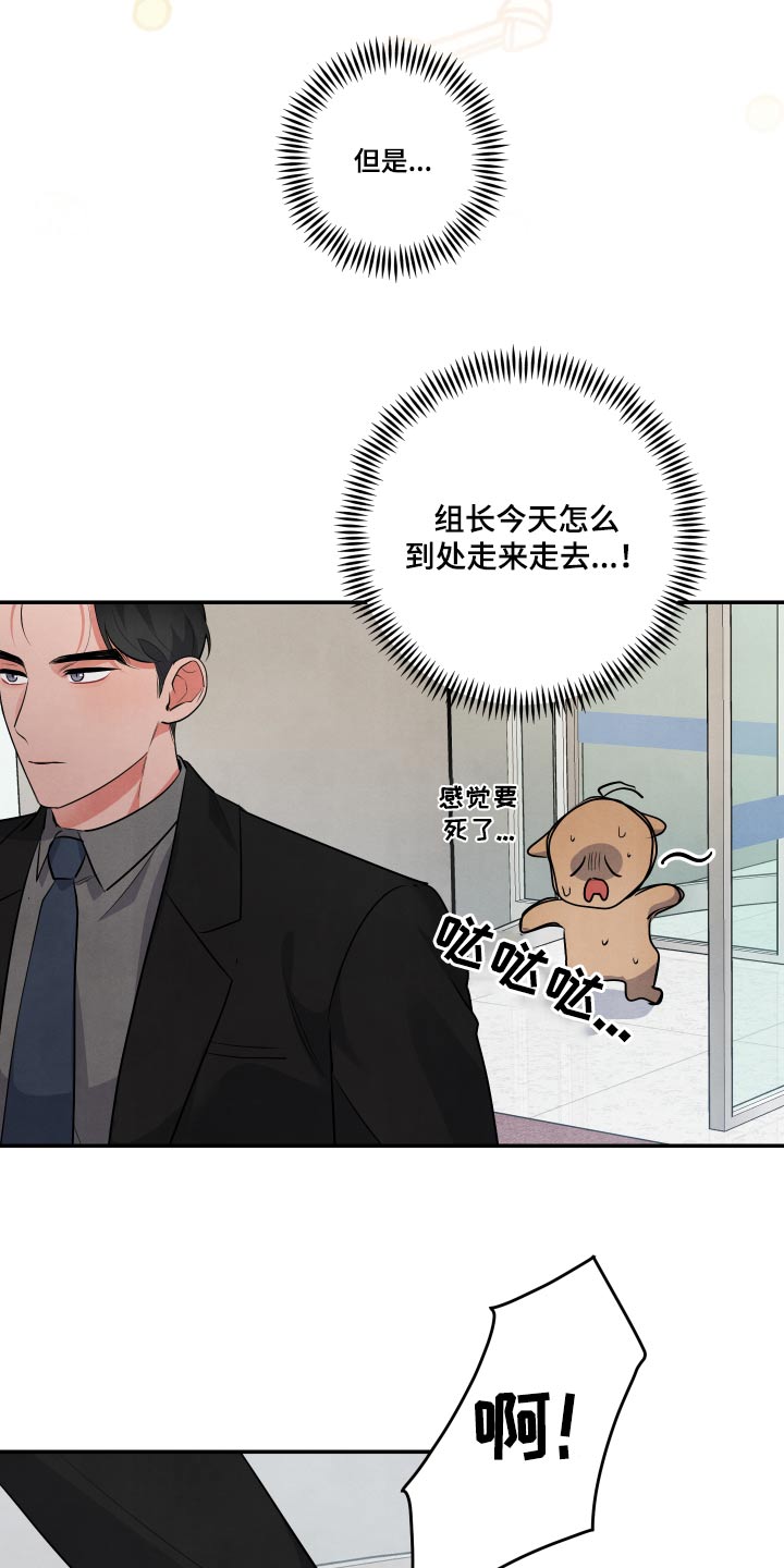 《危险接近》漫画最新章节第75章：【第二季】好喜欢他免费下拉式在线观看章节第【19】张图片