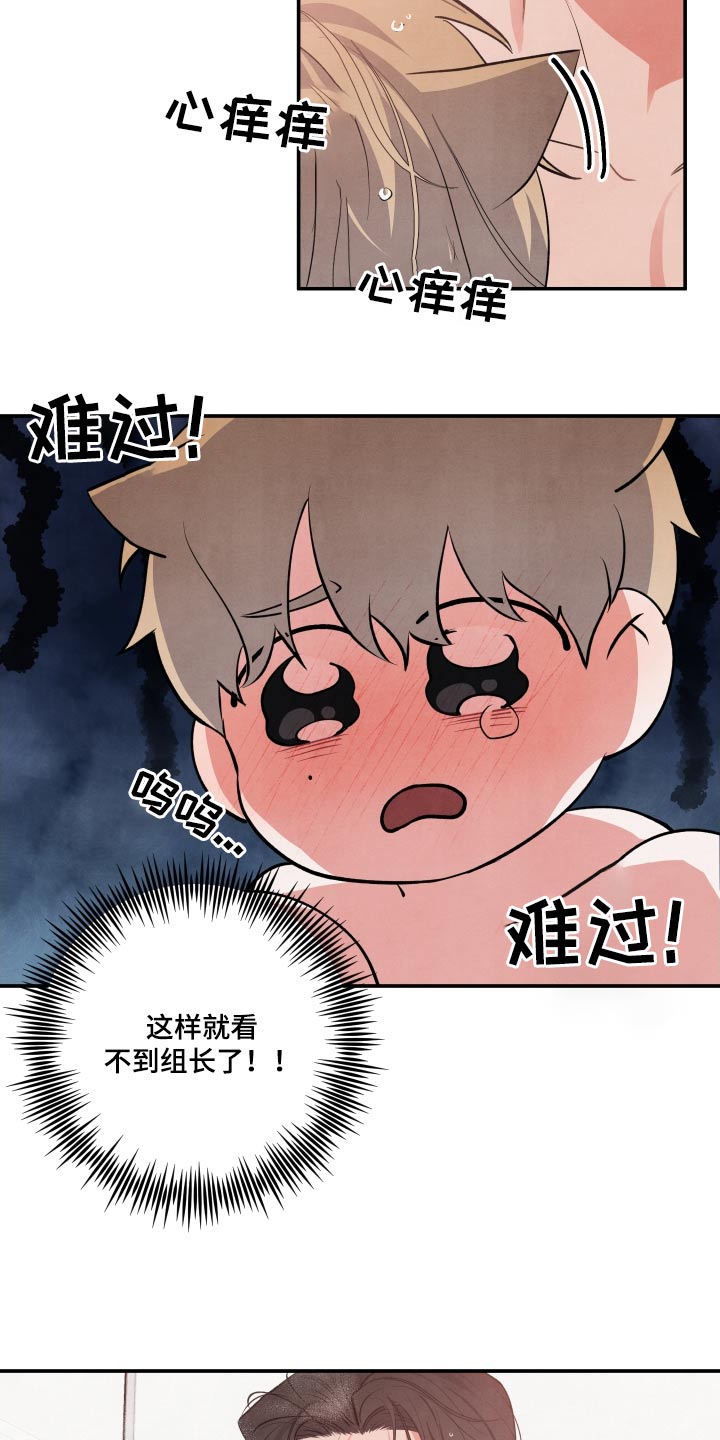 《危险接近》漫画最新章节第90章：【第二季】晕倒免费下拉式在线观看章节第【17】张图片