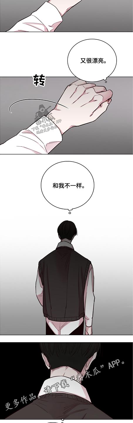 《车手与我》漫画最新章节第88章：【第二季】很漂亮免费下拉式在线观看章节第【2】张图片