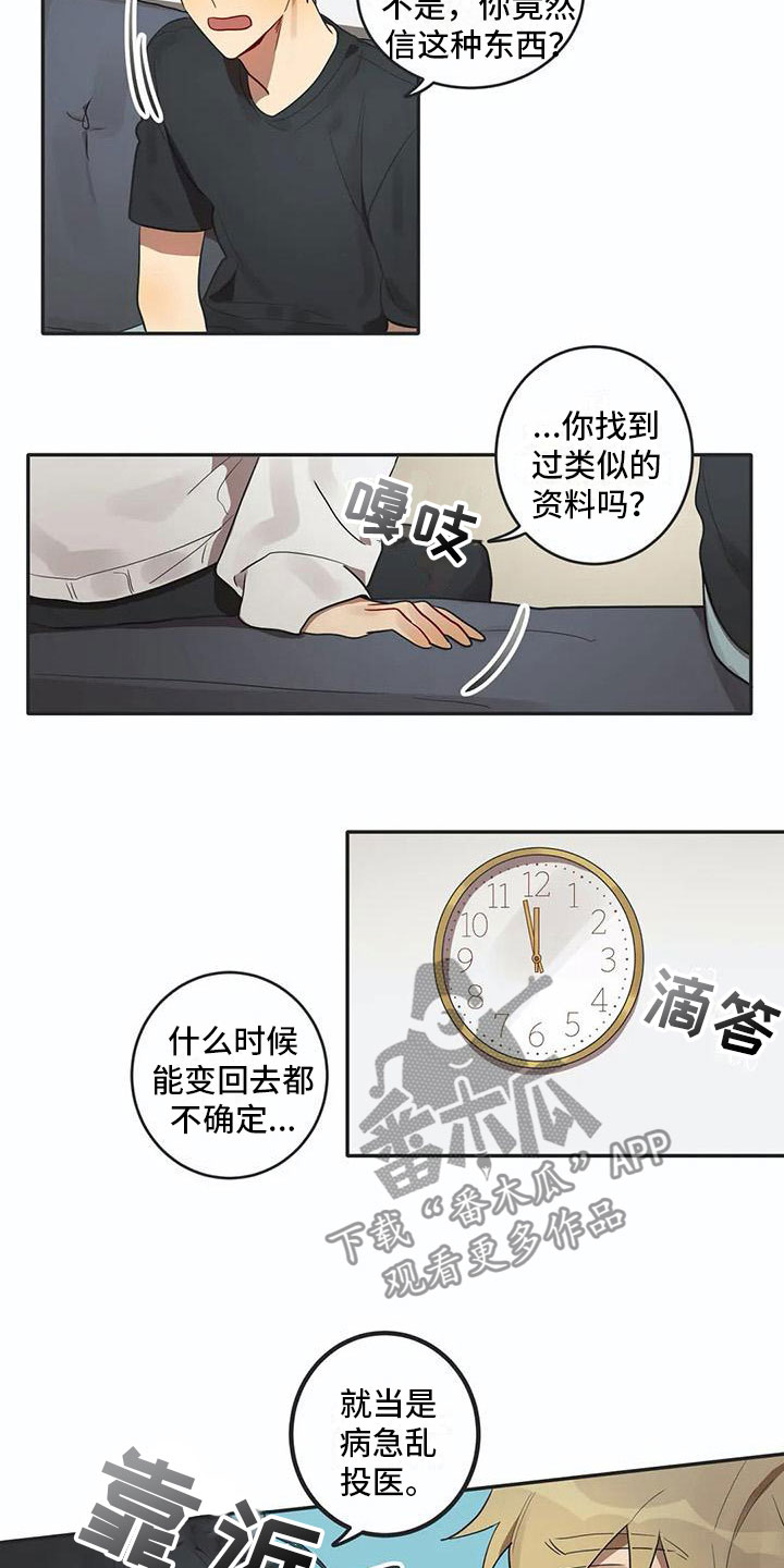 《互换诅咒》漫画最新章节第6章：爱免费下拉式在线观看章节第【6】张图片