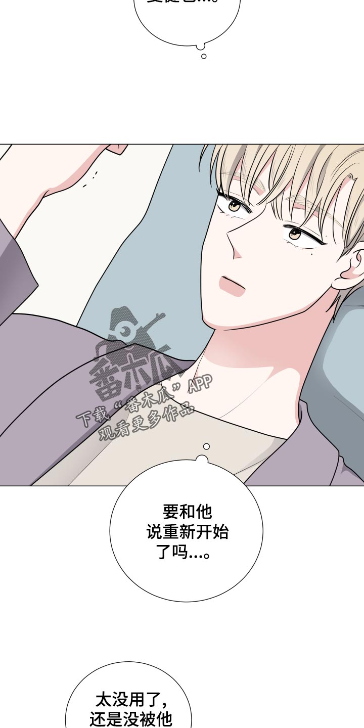 《继承关系》漫画最新章节第43章：可爱的礼物免费下拉式在线观看章节第【5】张图片