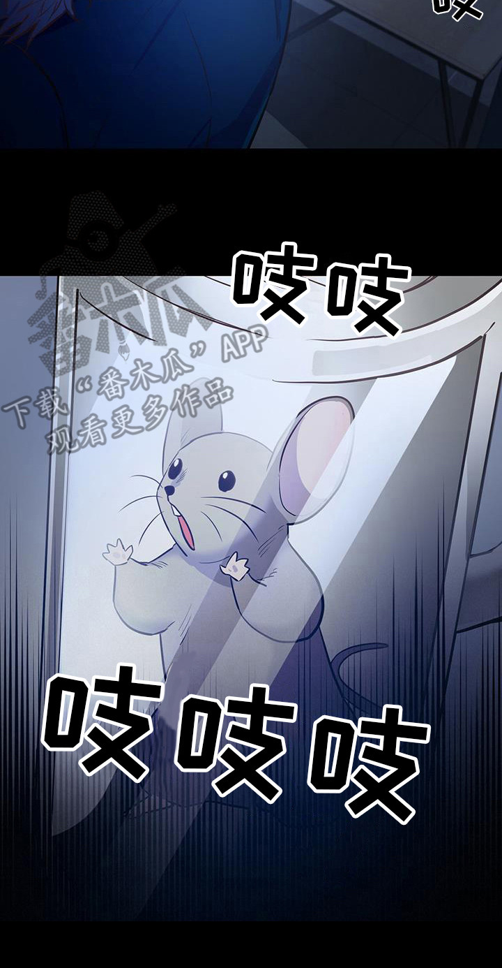 【恶棍】漫画-（第6章：老鼠）章节漫画下拉式图片-20.jpg