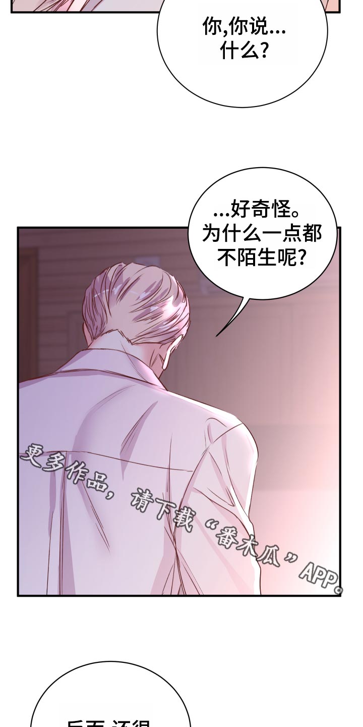 《复仇恋情》漫画最新章节第21章：偷吻的惩罚免费下拉式在线观看章节第【17】张图片