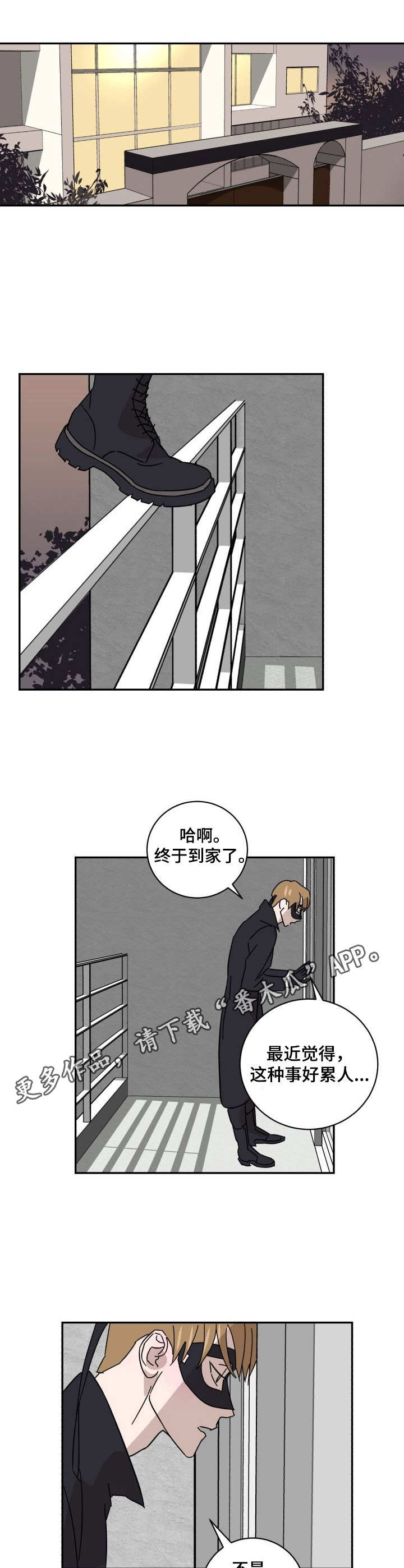 《怪盗与侦探》漫画最新章节第15章：调查免费下拉式在线观看章节第【2】张图片