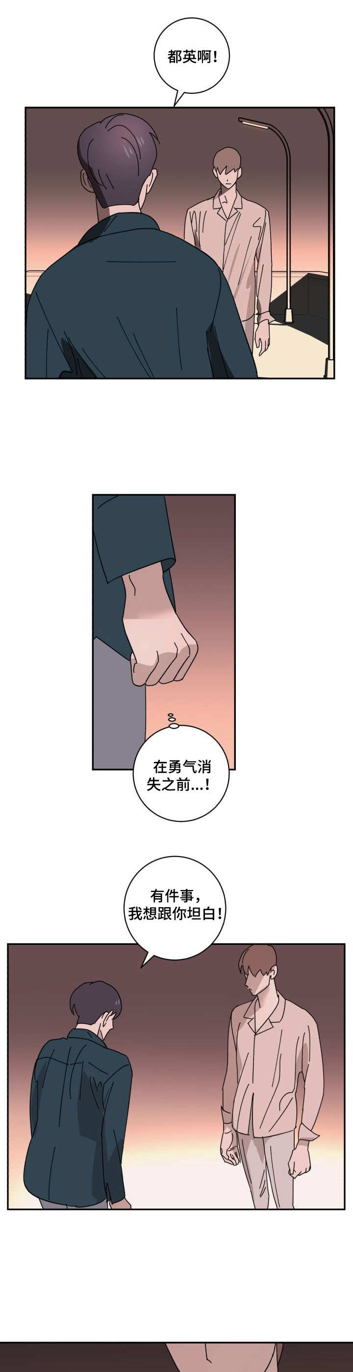 《怪盗与侦探》漫画最新章节第26章：坦白免费下拉式在线观看章节第【5】张图片