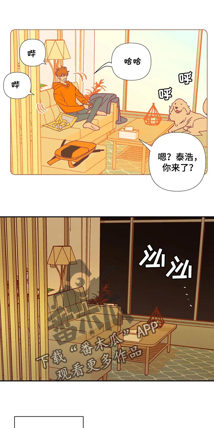 《未来的生活》漫画最新章节第84章：代价免费下拉式在线观看章节第【10】张图片