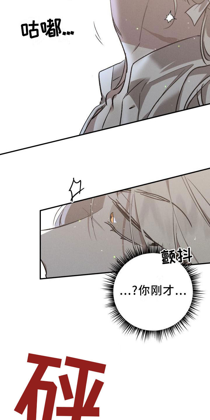 《偷心花园》漫画最新章节第7章：薰衣草花园：喂药免费下拉式在线观看章节第【15】张图片