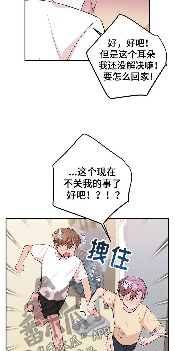 《偷心花园》漫画最新章节第28章：我的狗男孩：扫地出门免费下拉式在线观看章节第【6】张图片