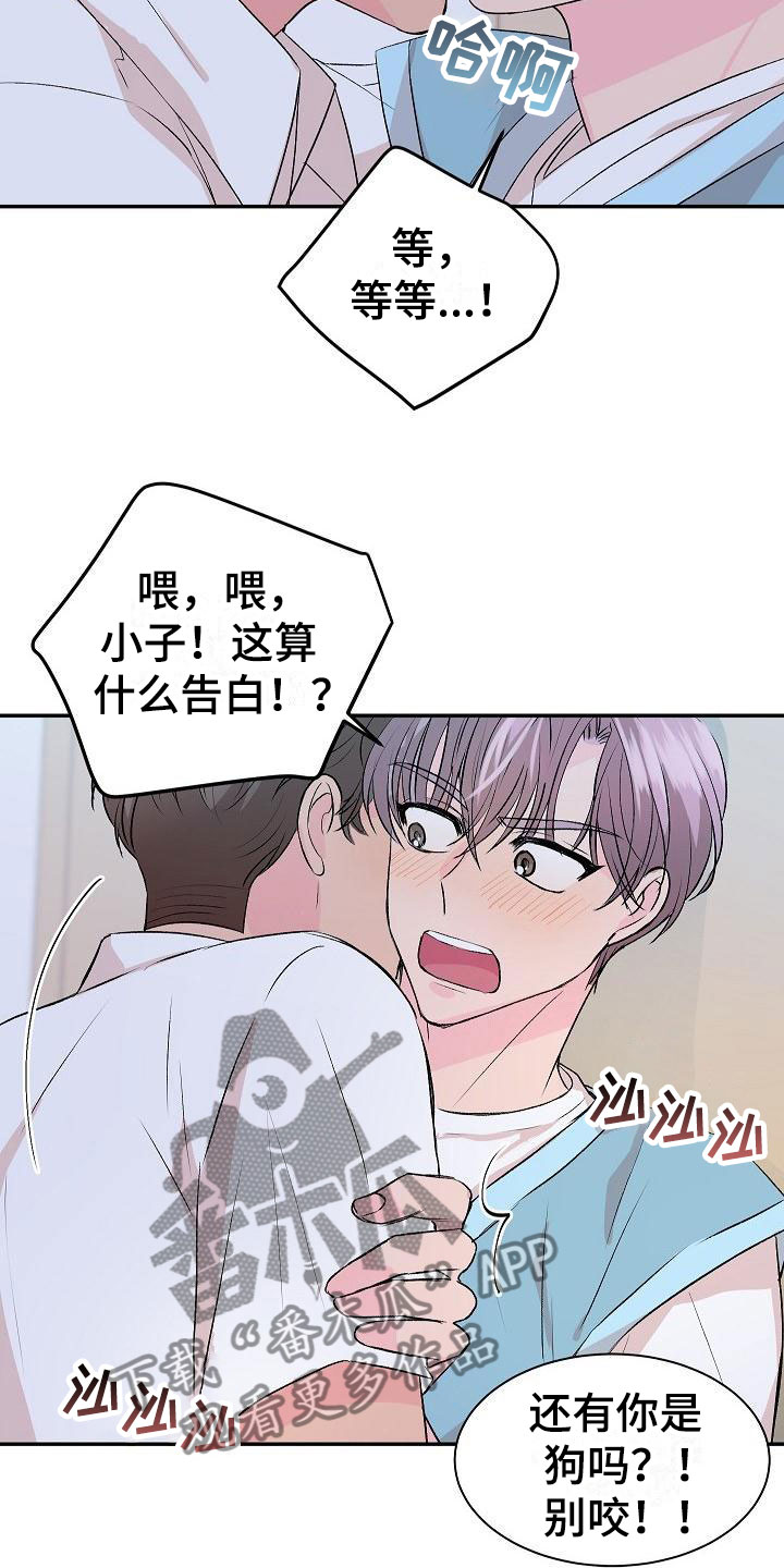 《偷心花园》漫画最新章节第32章：我的狗男孩：喜欢你（完）免费下拉式在线观看章节第【7】张图片