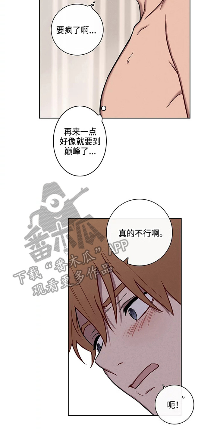 《偷心花园》漫画最新章节第51章：三角恋人：求饶免费下拉式在线观看章节第【15】张图片