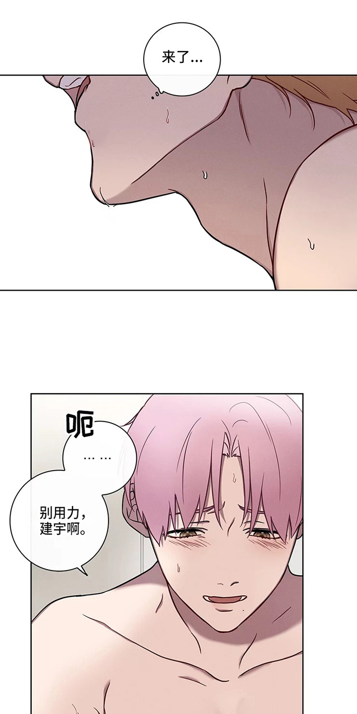 《偷心花园》漫画最新章节第52章：三角恋人：很有关系免费下拉式在线观看章节第【17】张图片