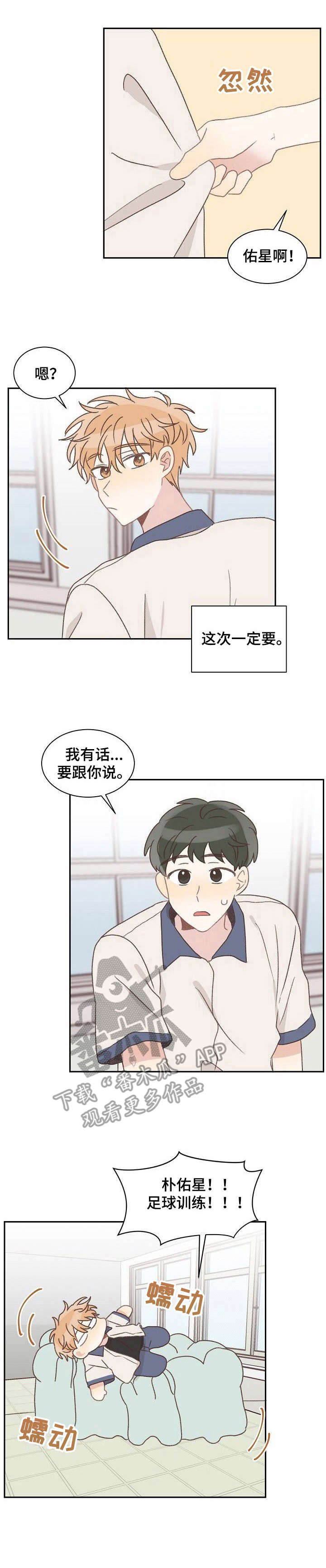 《危险标识牌》漫画最新章节第36章：表白免费下拉式在线观看章节第【10】张图片