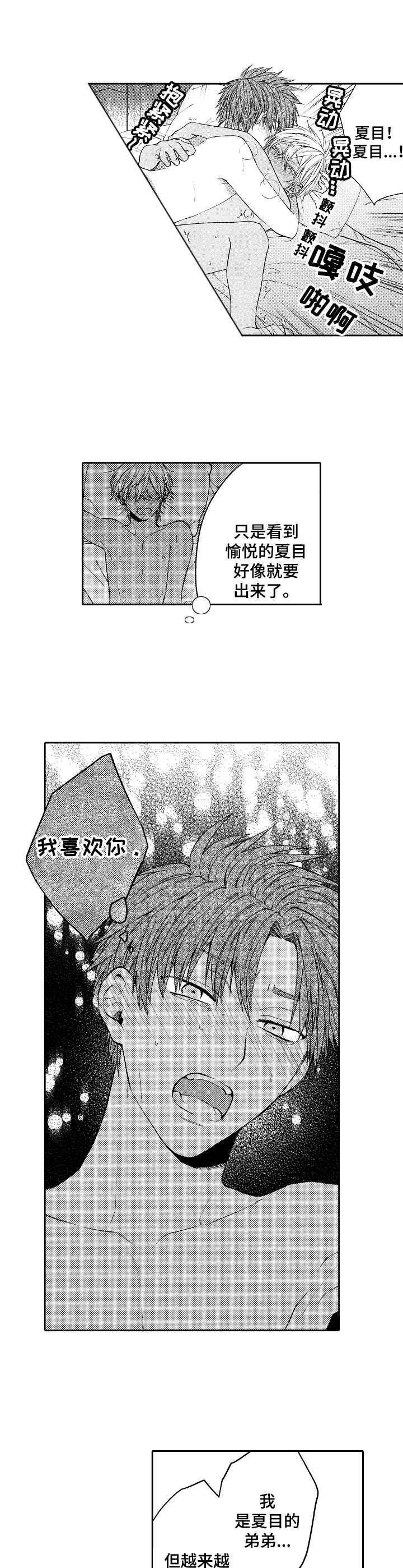 《同源兄弟》漫画最新章节第9章：愉悦免费下拉式在线观看章节第【14】张图片