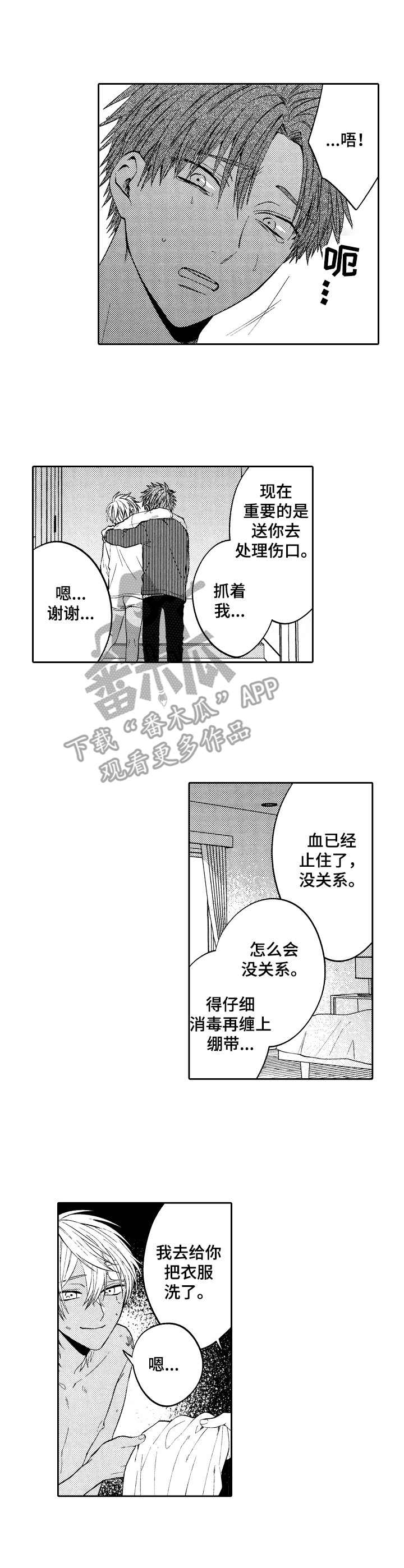 《同源兄弟》漫画最新章节第12章：伤痕累累免费下拉式在线观看章节第【16】张图片