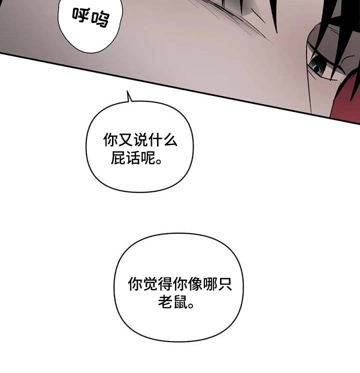 《一线之间》漫画最新章节第78章：老鼠免费下拉式在线观看章节第【1】张图片