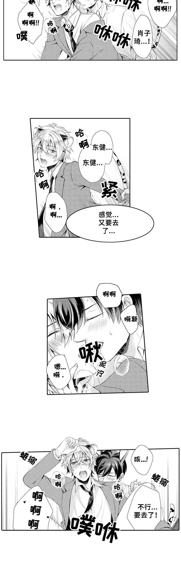 《肉食系守则》漫画最新章节第17章：不放手免费下拉式在线观看章节第【8】张图片