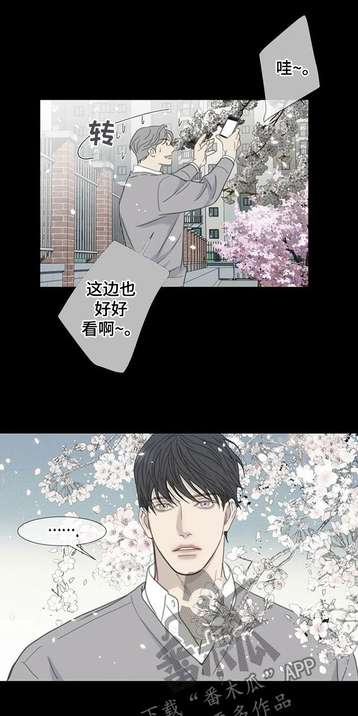 《难抑的视线》漫画最新章节第76章：【第二季】樱花免费下拉式在线观看章节第【9】张图片