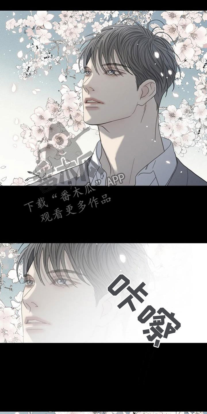 《难抑的视线》漫画最新章节第76章：【第二季】樱花免费下拉式在线观看章节第【11】张图片