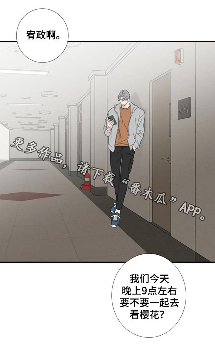 《难抑的视线》漫画最新章节第76章：【第二季】樱花免费下拉式在线观看章节第【1】张图片