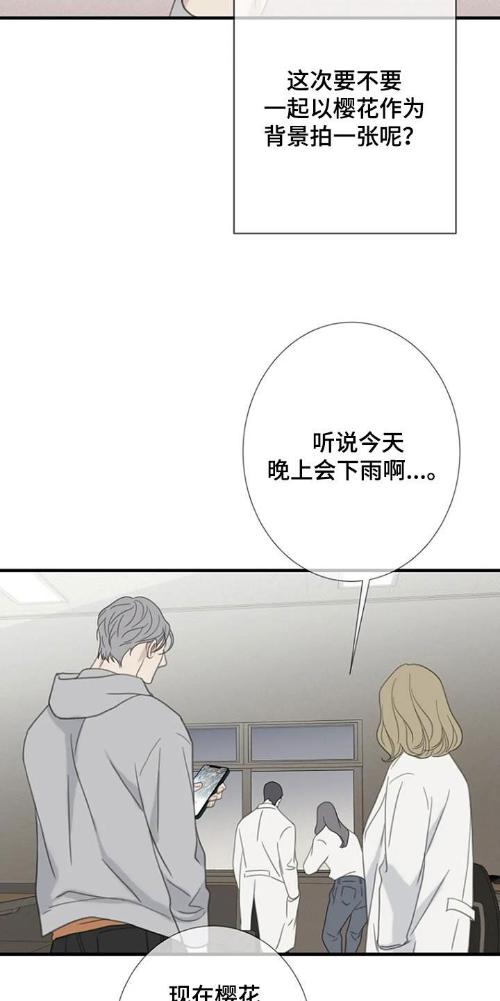 《难抑的视线》漫画最新章节第76章：【第二季】樱花免费下拉式在线观看章节第【5】张图片