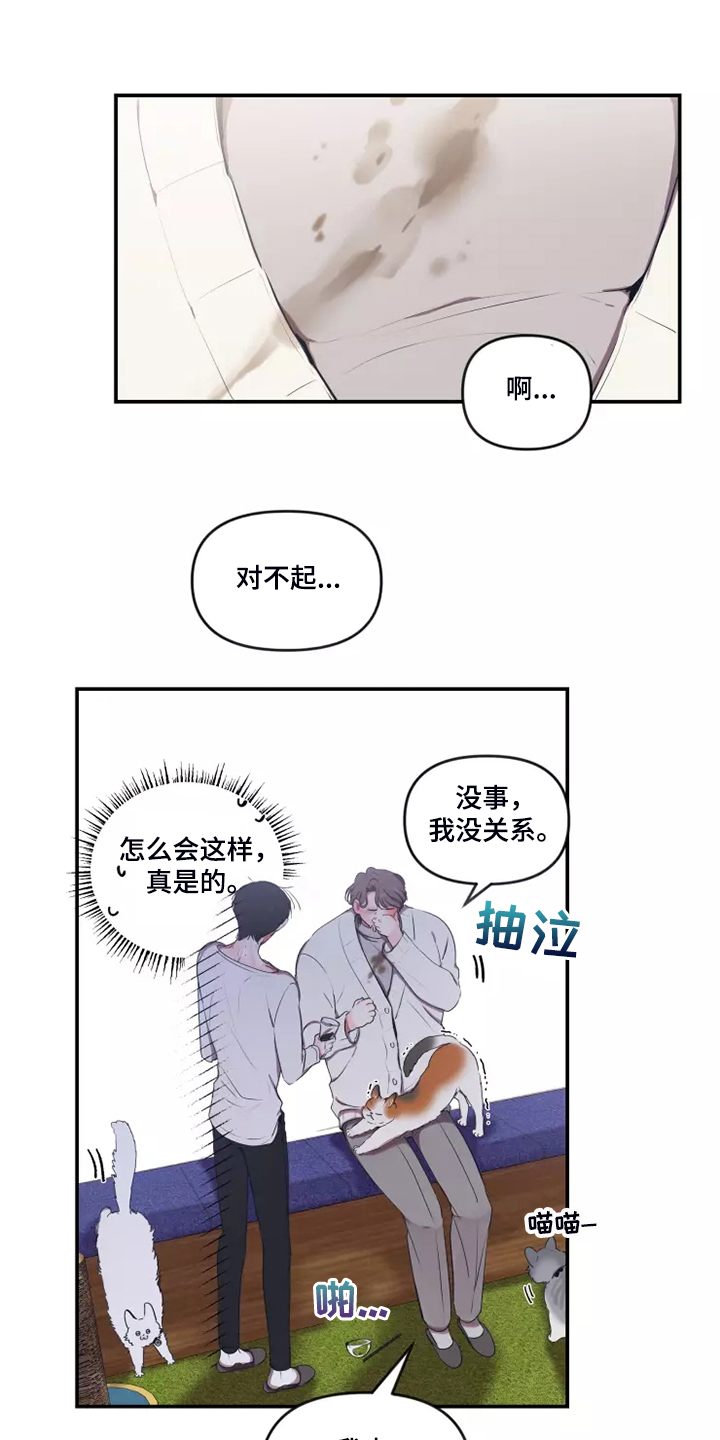 《恋爱契约》漫画最新章节第96章：【番外】过敏免费下拉式在线观看章节第【6】张图片