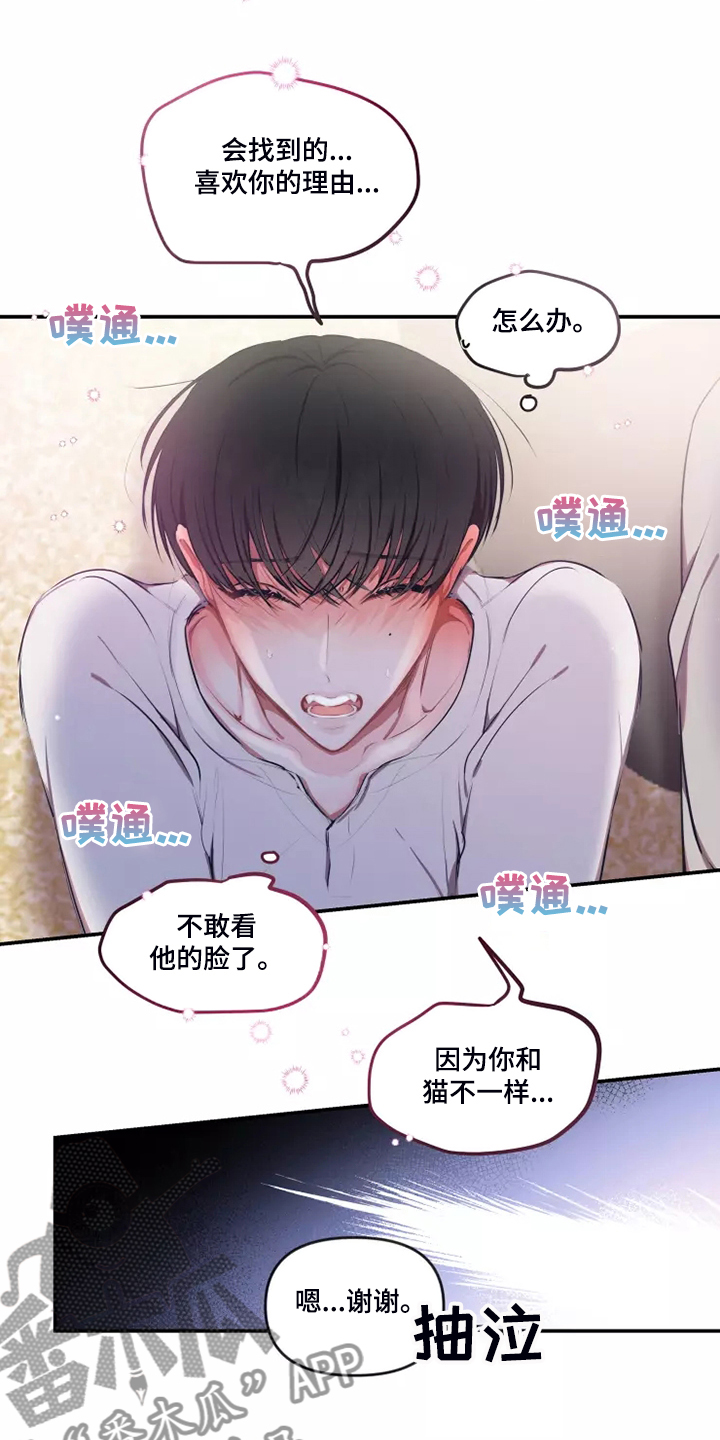 《恋爱契约》漫画最新章节第96章：【番外】过敏免费下拉式在线观看章节第【10】张图片