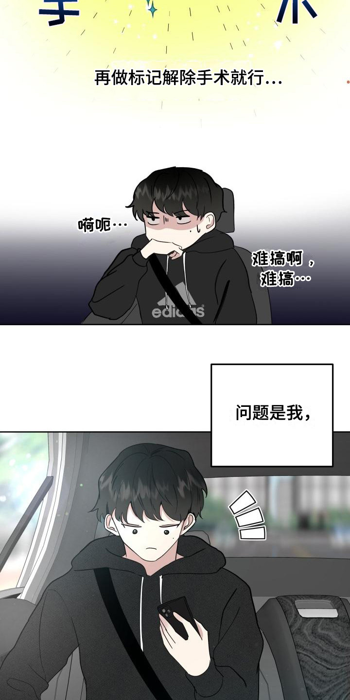 《标记阿尔法》漫画最新章节第3章：被标记免费下拉式在线观看章节第【4】张图片