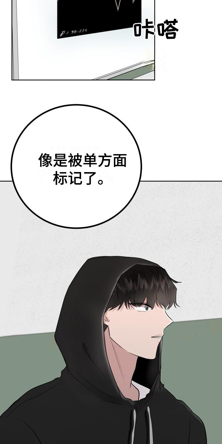 《标记阿尔法》漫画最新章节第3章：被标记免费下拉式在线观看章节第【17】张图片