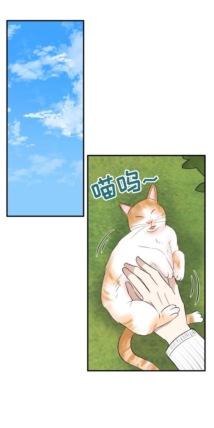 《标记阿尔法》漫画最新章节第10章：所了解的免费下拉式在线观看章节第【12】张图片